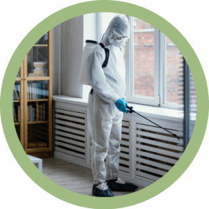 Person doing pest control Désinsectisation
