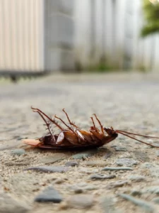 AdobeStock_1276588884