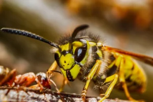 AdobeStock_180244911
