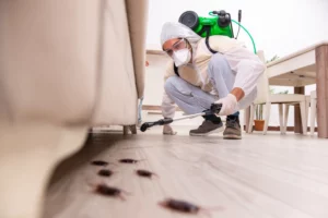 AdobeStock_258380829